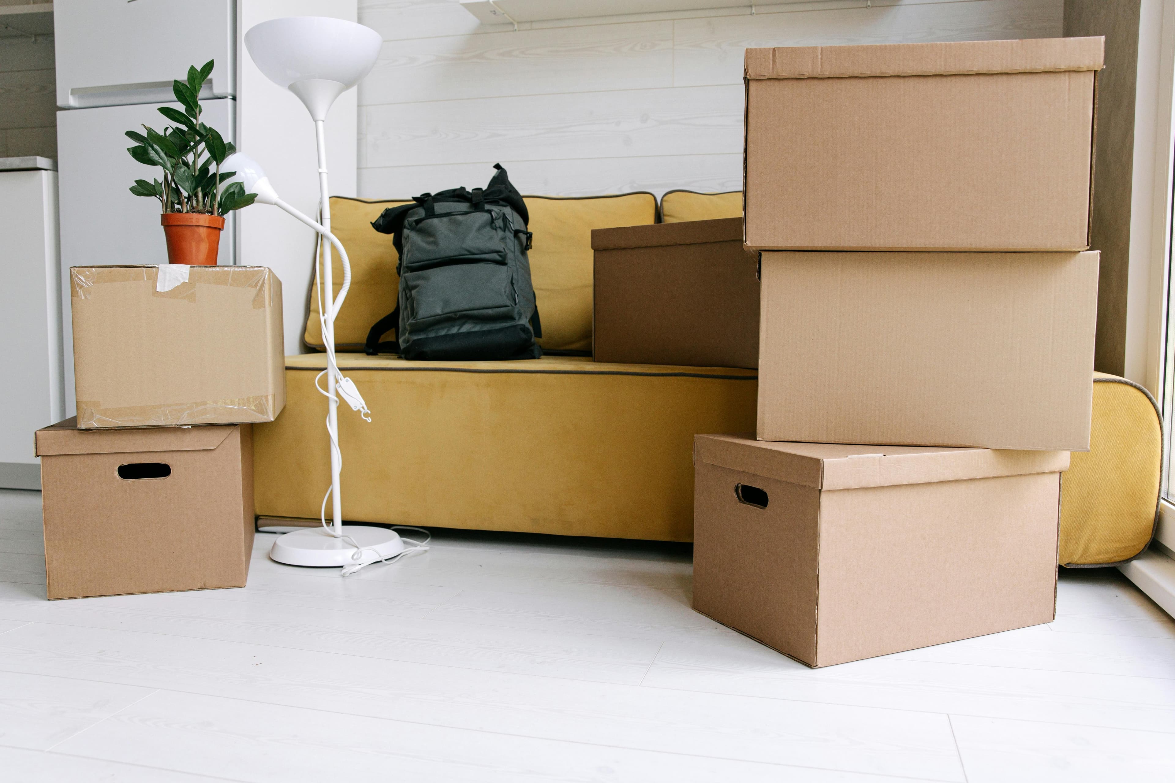 Couple with moving boxes ready for move-out clean in BC