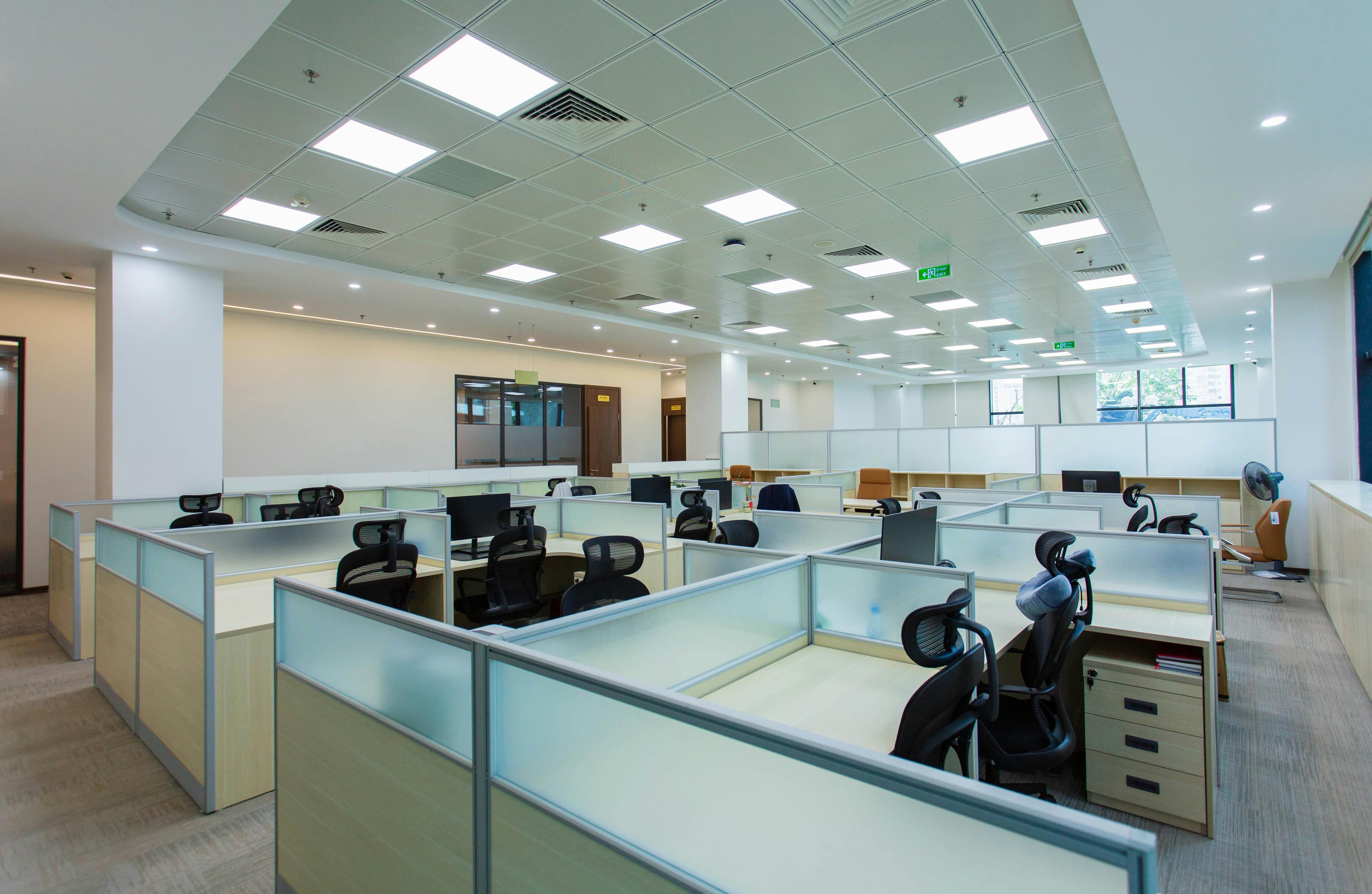 Modern office space with plants